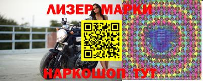 прущие грибы Гатчина