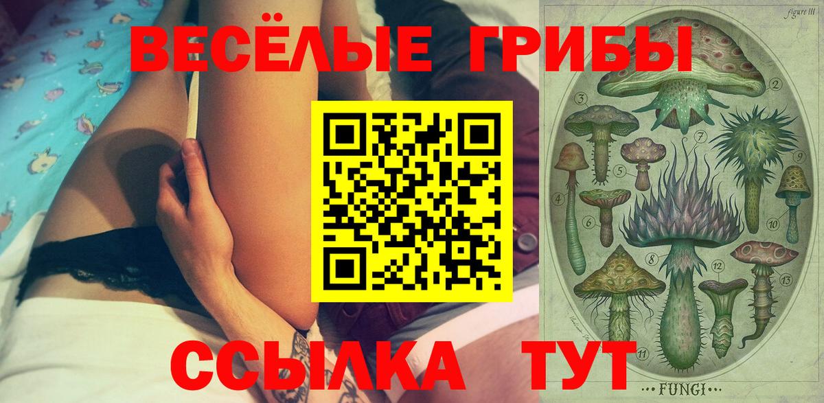 Шелехов  Галлюциногенные грибы мицелий  Вход с VPN 